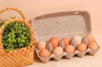 The True Cost of Egg Production on a Homestead