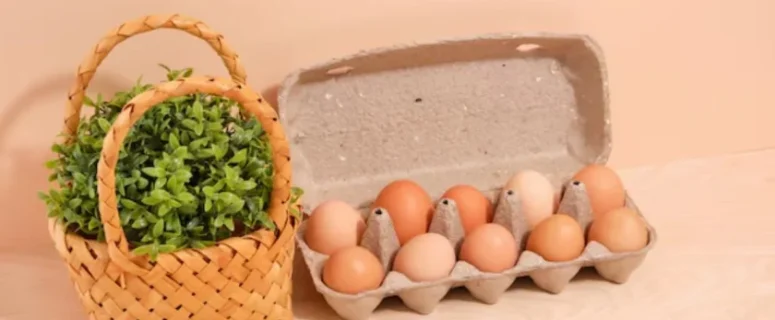 The True Cost of Egg Production on a Homestead