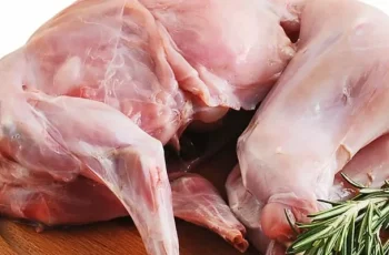 Raising Meat Rabbits to Feed Your Family