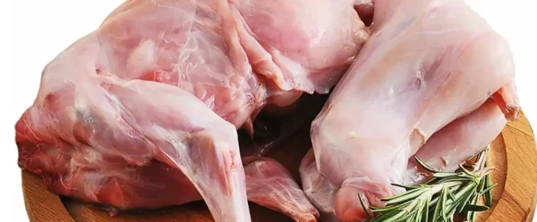 Raising Meat Rabbits to Feed Your Family