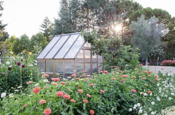 A Beginner’s Guide to Starting a Home Garden