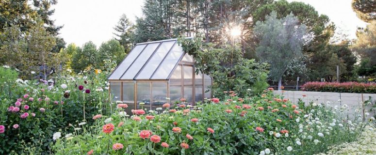 A Beginner’s Guide to Starting a Home Garden