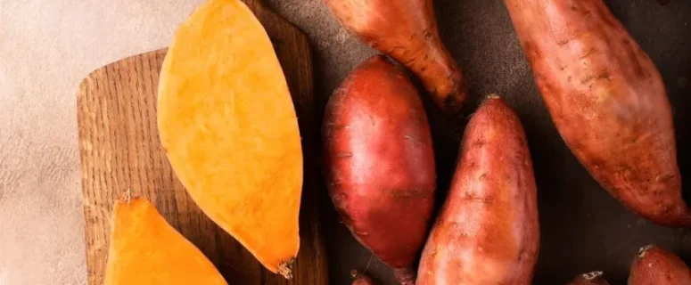 Best Tips for Digging and Storing Sweet Potatoes