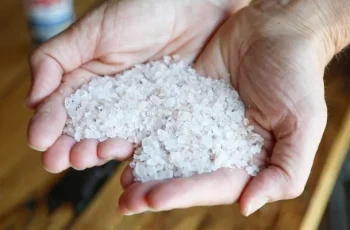 The Power of Salt as a Disinfectant