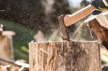 How We Chop Wood to Save Time and Energy